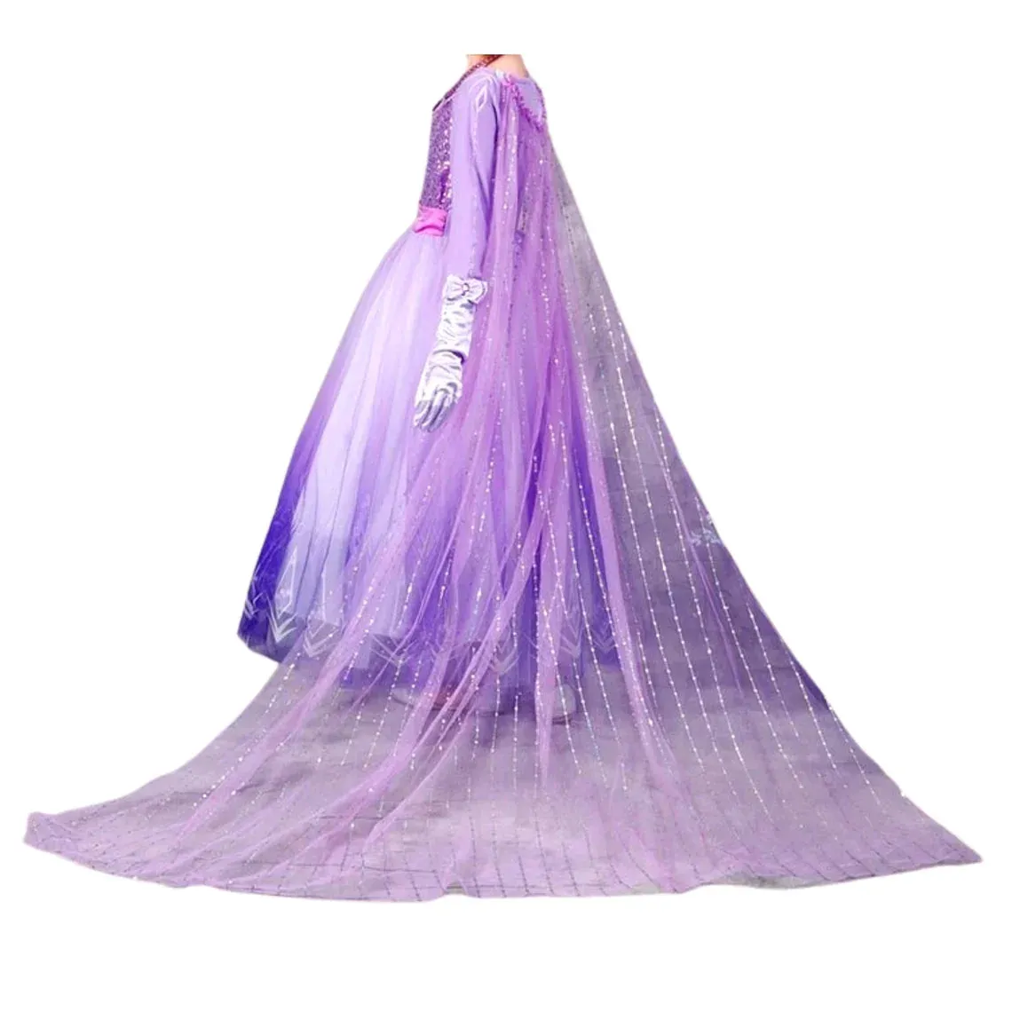 Exquisite Elsa purple dress, Frozen 2 birthday dress   Accessories
