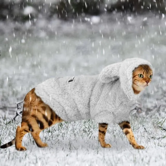 Kitty Snuggie - Pet Cat Hoodie